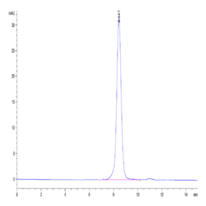 Cynomolgus IL-1 Rrp2/IL-1 R6 Protein (IL1-CM1L2)