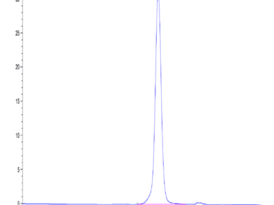 Cynomolgus IL-1 Rrp2/IL-1 R6 Protein (IL1-CM1L2)