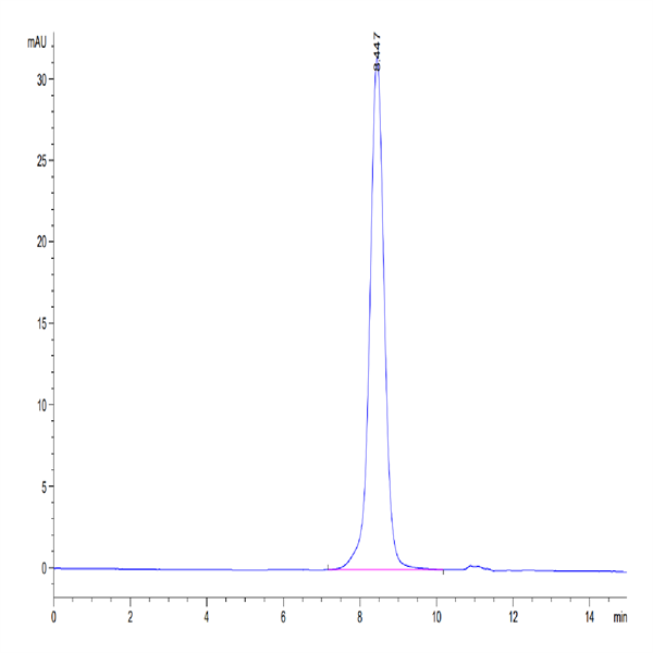 Cynomolgus IL-1 Rrp2/IL-1 R6 Protein (IL1-CM1L2) Cynomolgus IL-1 Rrp2/IL-1 R6 Protein (IL1-CM1L2)
