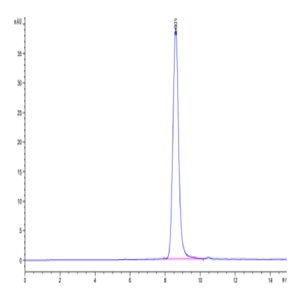 Cynomolgus IL-10 R alpha Protein (IL1-CM1RA)