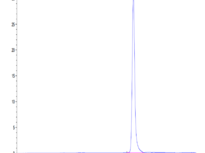 Human IL-1 alpha/IL-1A Protein (IL1-HE00A)