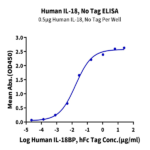 Human IL-18 Protein (IL1-HE018)