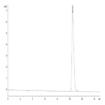Human IL-18 Protein (IL1-HE018)