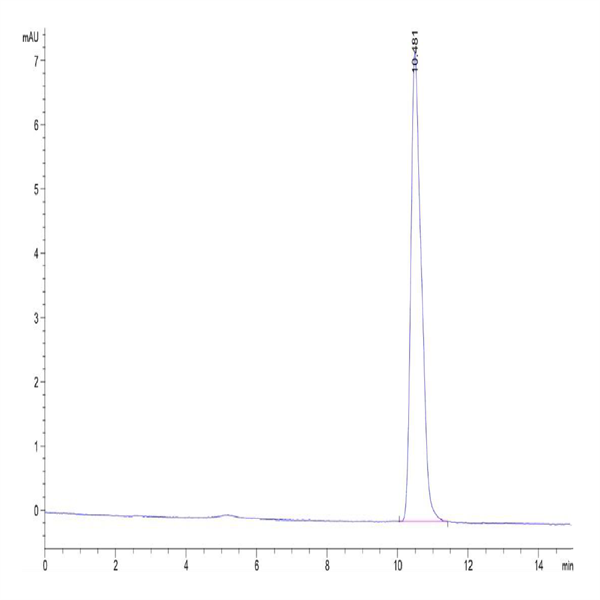 Human IL-18 Protein (IL1-HE018)