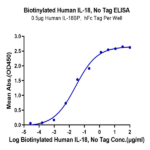 Biotinylated Human IL-18 Protein (Primary Amine Labeling) (IL1-HE018B)