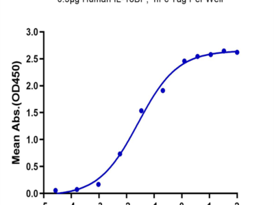 Biotinylated Human IL-18 Protein (Primary Amine Labeling) (IL1-HE018B)