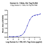 Human IL-1 Beta/IL-1F2 Protein (IL1-HE40B)