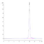 Human IL-1 Beta/IL-1F2 Protein (IL1-HE40B)