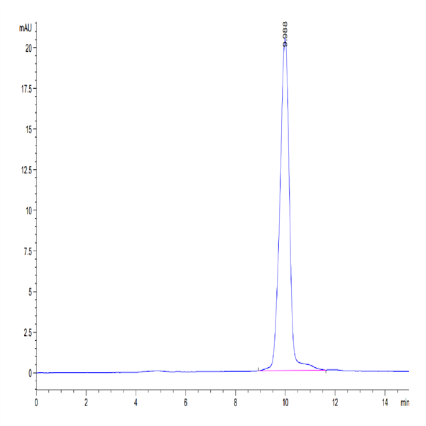 Human IL-1 Beta/IL-1F2 Protein (IL1-HE40B)