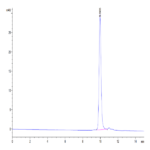 Biotinylated Human IL-1 Beta/IL-1F2 Protein (IL1-HE40BB)