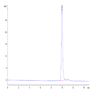 Biotinylated Human IL-1 Beta/IL-1F2 Protein (IL1-HE40BB)