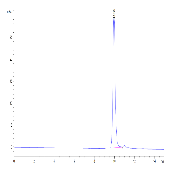Biotinylated Human IL-1 Beta/IL-1F2 Protein (IL1-HE40BB)