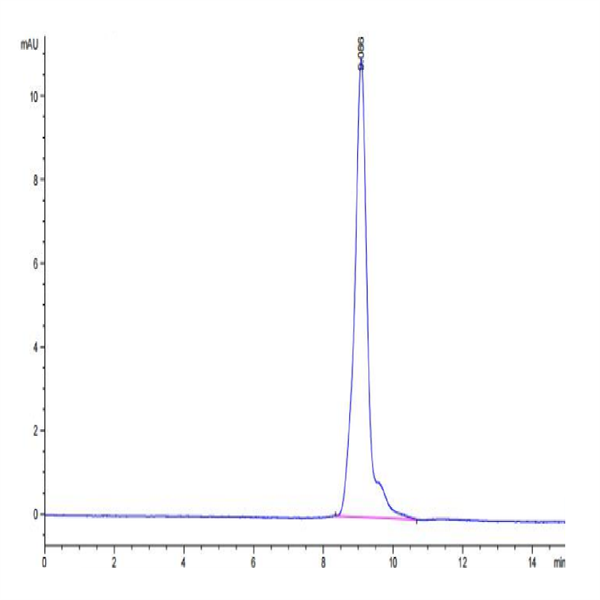 Human IL-10 Protein (IL1-HM010)
