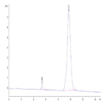 Human IL-13 Protein (IL1-HM013)