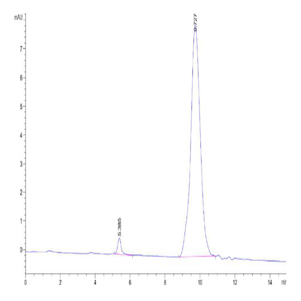 Human IL-13 Protein (IL1-HM013)