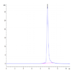 Human IL-11 Protein (IL1-HM111)