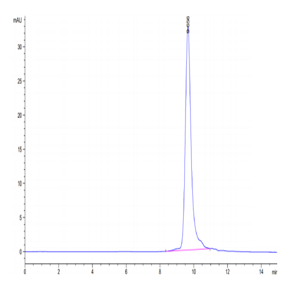 Human IL-11 Protein (IL1-HM111)