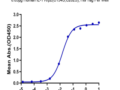 Human IL-1 Rrp2/IL-1 R6 (C154S