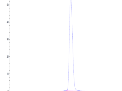 Human IL-1R1 Protein (IL1-HM1R1)