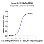 Human IL-1R2/IL-1 RII/CD121b Protein (IL1-HM1R2)