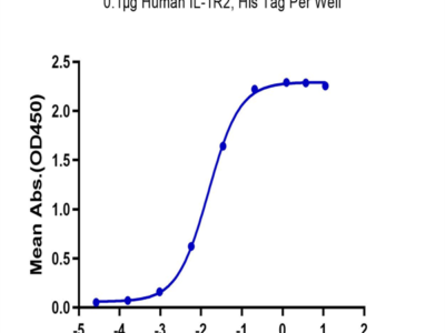 Human IL-1R2/IL-1 RII/CD121b Protein (IL1-HM1R2)