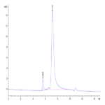 Human IL-1R2/IL-1 RII/CD121b Protein (IL1-HM1R2)