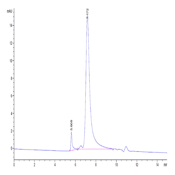 Human IL-1R2/IL-1 RII/CD121b Protein (IL1-HM1R2)