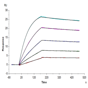 Human IL-15RA&IL-15 Protein (IL1-HM1R5)