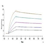 Human IL-17RB Protein (IL1-HM1RB)