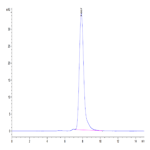 Human IL-13 Protein (IL1-HM213)