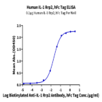 Human IL-1 Rrp2/IL-1 R6 Protein (IL1-HM2L2)