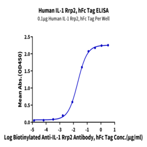 Human IL-1 Rrp2/IL-1 R6 Protein (IL1-HM2L2)