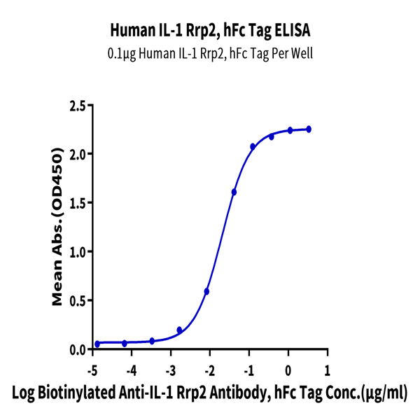 Human IL-1 Rrp2/IL-1 R6 Protein (IL1-HM2L2) Human IL-1 Rrp2/IL-1 R6 Protein (IL1-HM2L2)