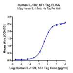Human IL-1R2/IL-1 RII/CD121b Protein (IL1-HM2R2)