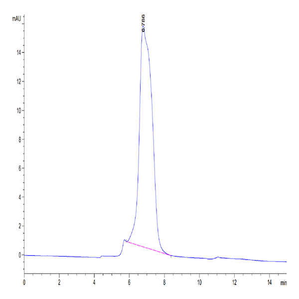 Human IL-17Rc Protein (IL1-HM2RC)