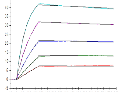 Human IL-10 Protein (IL1-HM410)