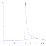 Human IL-10 Protein (IL1-HM410)