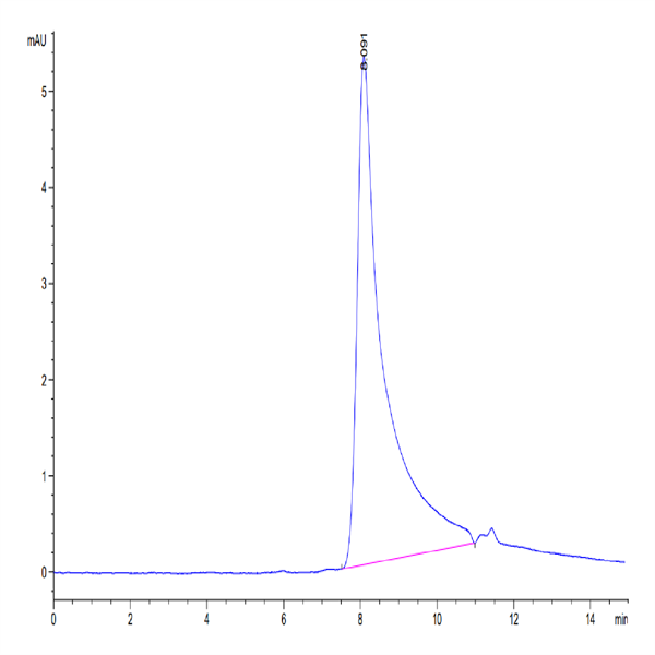 Human IL-10 Protein (IL1-HM410)