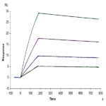 Biotinylated Human IL-10 Protein (IL1-HM410B)