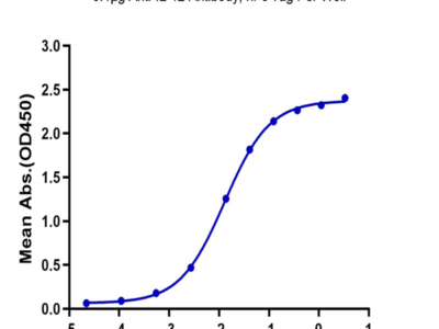 Biotinylated Human IL-12 Protein (IL1-HM412B)