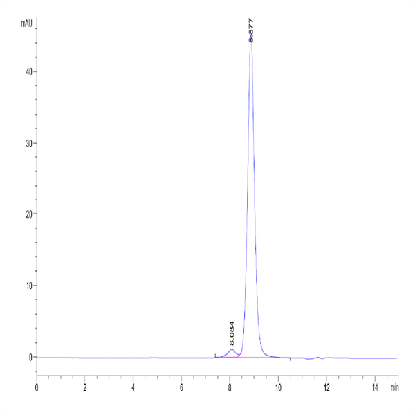 Biotinylated Human IL-12 Protein (IL1-HM412B)