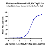 Biotinylated Human IL-13 Protein (IL1-HM413B)