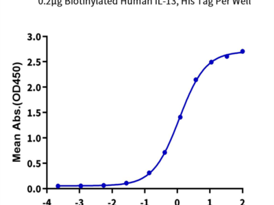 Biotinylated Human IL-13 Protein (IL1-HM413B)