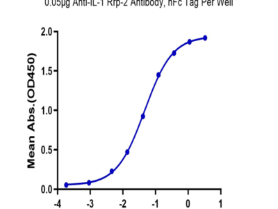 Biotinylated Human IL-1 Rrp2/IL-1 R6 Protein (IL1-HM4L2B)