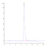 Human IL-1R3/IL-1 RAcP Protein (IL1-HM4R3)