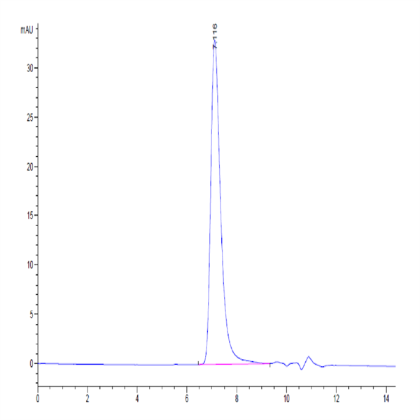 Human IL-1R3/IL-1 RAcP Protein (IL1-HM4R3)