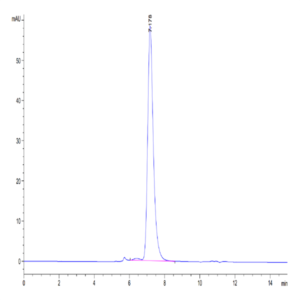 Biotinylated Human IL-1R3/IL-1 RAcP Protein (IL1-HM4R3B)