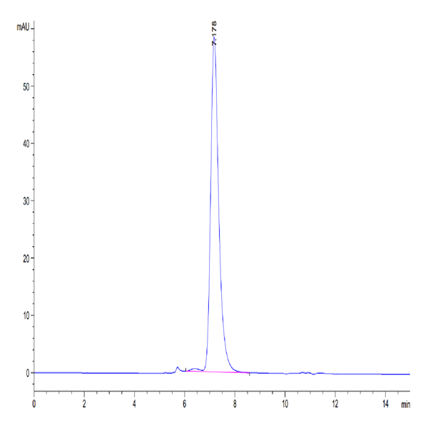 Biotinylated Human IL-1R3/IL-1 RAcP Protein (IL1-HM4R3B)