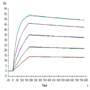 Human IL-10 R alpha Protein (IL1-HM4RA)
