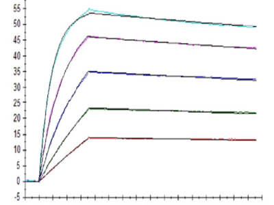 Human IL-10 R alpha Protein (IL1-HM4RA)